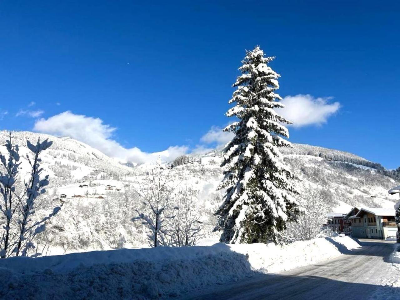 Penthouse Julia Naehe Badesee Mit Infrarotsauna -Zell Am See Kaprun Niedernsill Dış mekan fotoğraf